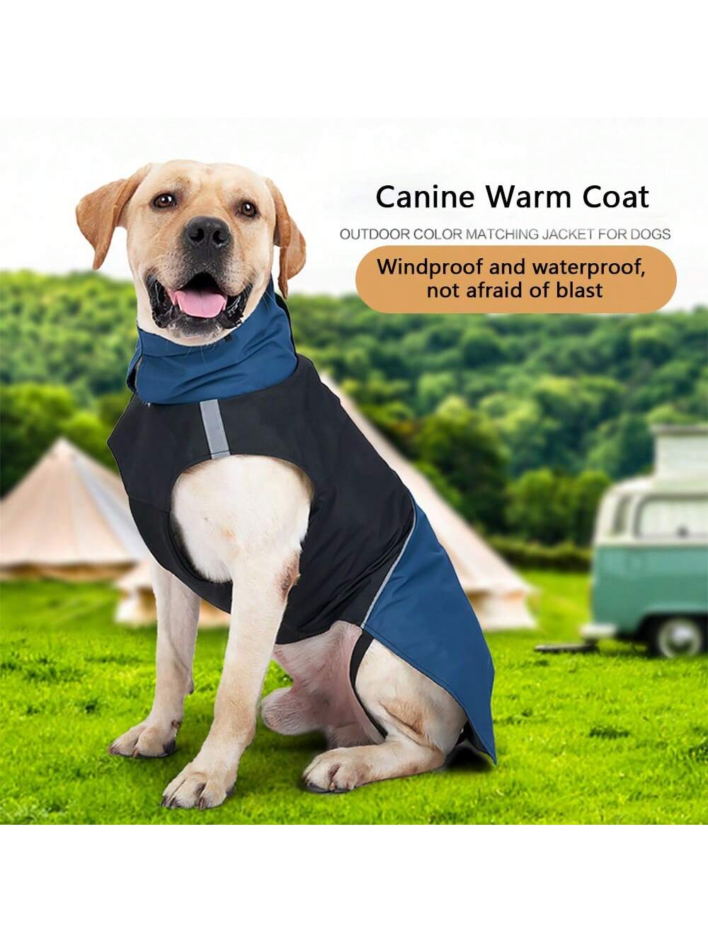 Windproof Waterproof Dog Warm  - Outdoor Camping Vest recension och pris